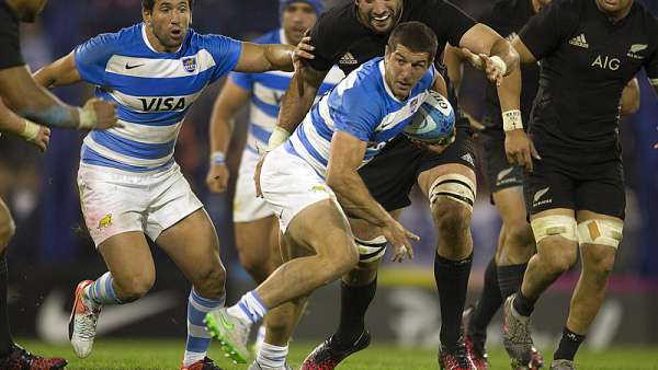 Argentina 17-36 All Blacks