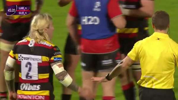 Richard Hibbard, ¿el simulador?