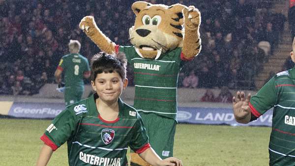 Welford, un tigre muy tramposo