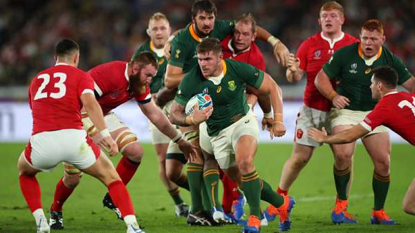 Springboks 19-16 Gales