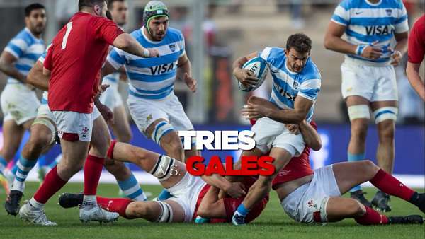 Top 5 Tries de Los Pumas ante Gales