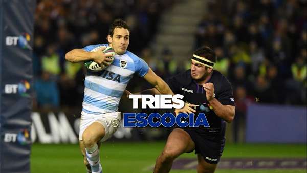 Top 5 Tries de Los Pumas ante Escocia