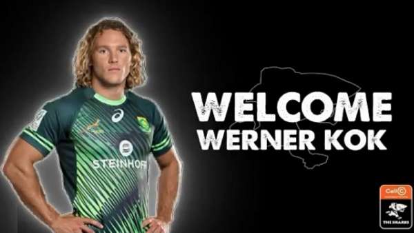 Los Sharks le dan la bienvenida a Werner Kok