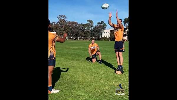 Brumbies y su entrenamiento de line