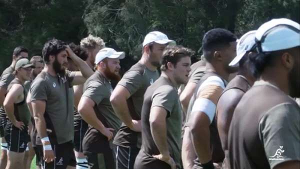 Así se prepararon los Wallabies para la Bledisloe Cup