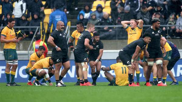 All Blacks 16-16 Wallabies