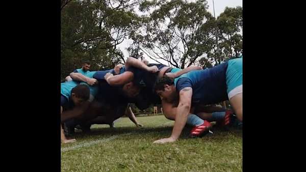 Los Pumas se preparan con rival a la vista