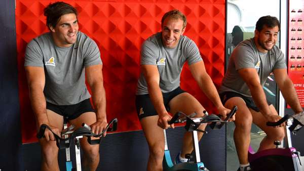 Los Jaguares en el gimnasio