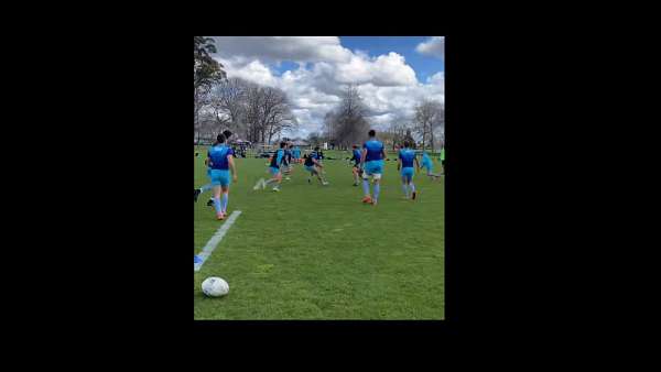 Los Pumas se mueven en Hamilton