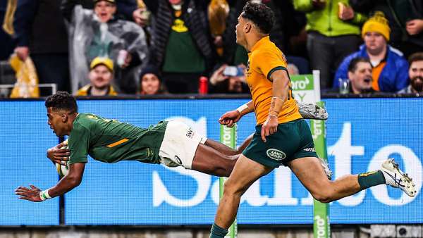 Wallabies 8-24 Springboks