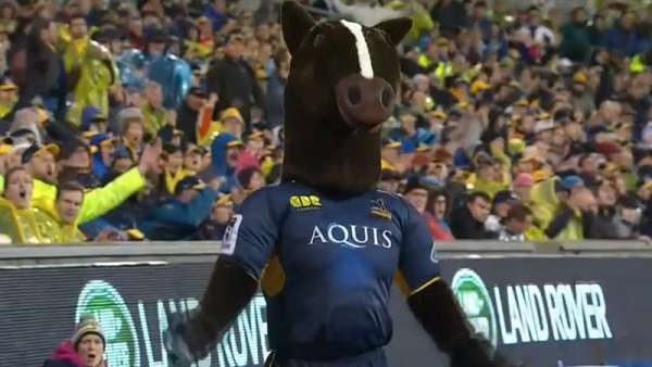 La bronca de la mascota de Brumbies