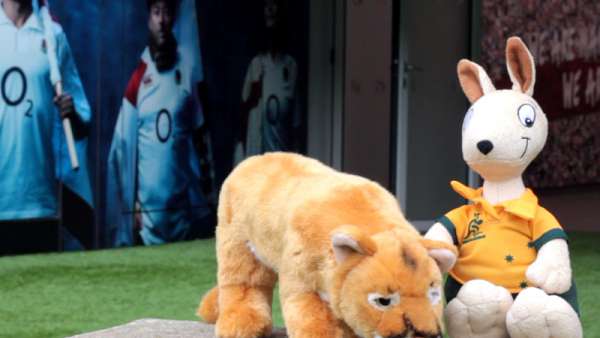 Twickenham recibirá a Pumas y Wallabies